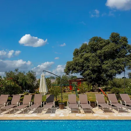 Pool Divina * Šišan